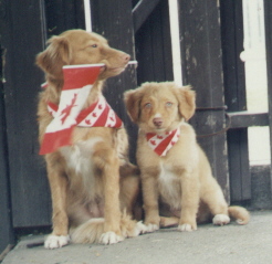 Cayenne and Splash on Canada Day
