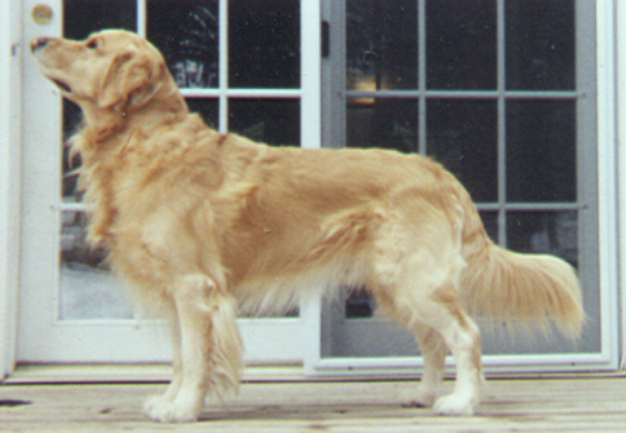 Montana in 1999 - 4 years old