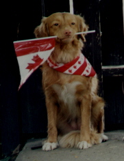 Splash on Canada Day